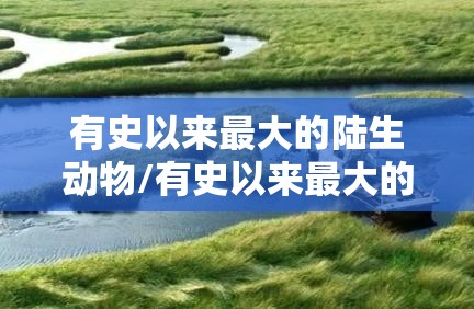 有史以来最大的陆生动物/有史以来最大的陆地动物