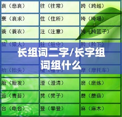 长组词二字/长字组词组什么