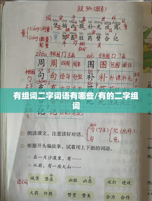 有组词二字词语有哪些/有的二字组词