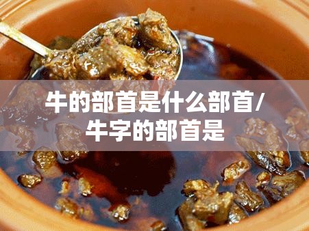 牛的部首是什么部首/牛字的部首是