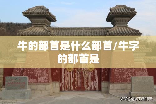牛的部首是什么部首/牛字的部首是