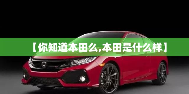 【你知道本田么,本田是什么样】