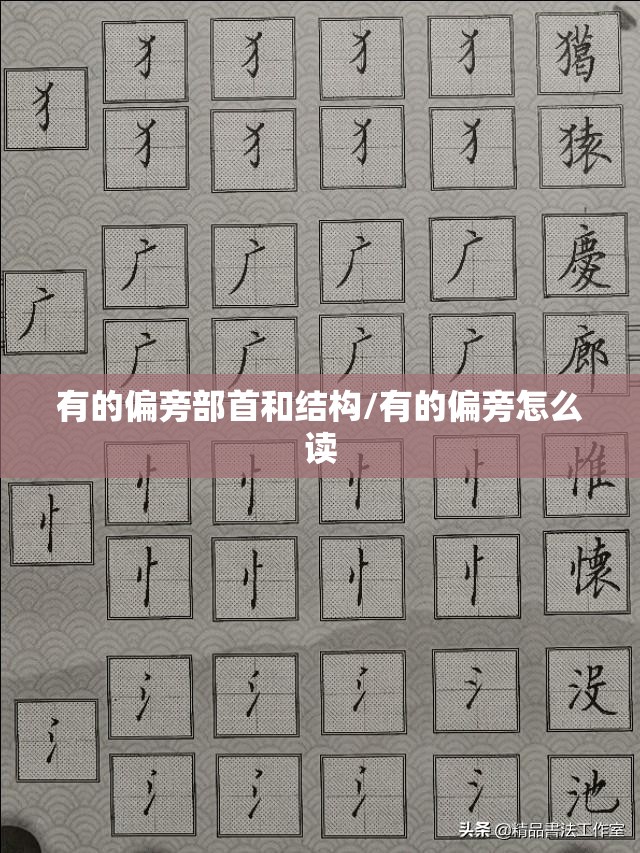 有的偏旁部首和结构/有的偏旁怎么读