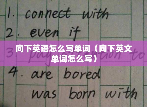 向下英语怎么写单词（向下英文单词怎么写）