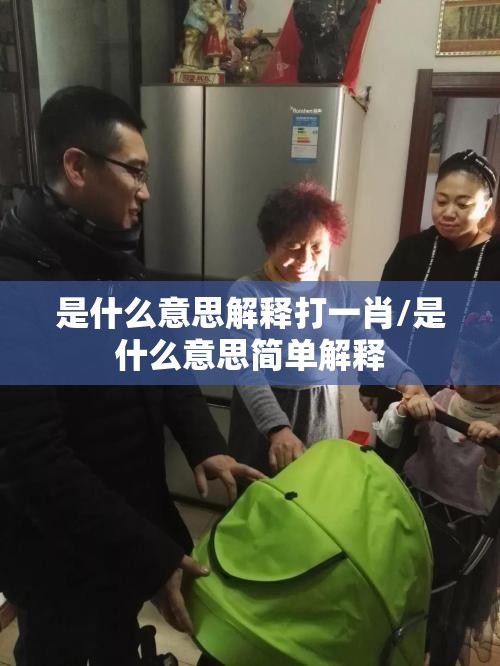是什么意思解释打一肖/是什么意思简单解释