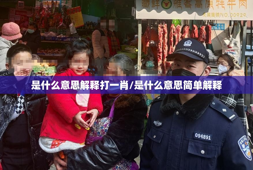 是什么意思解释打一肖/是什么意思简单解释