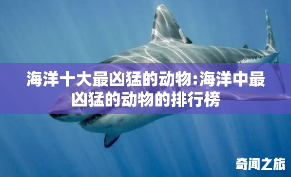 海洋十大最凶猛的动物:海洋中最凶猛的动物的排行榜