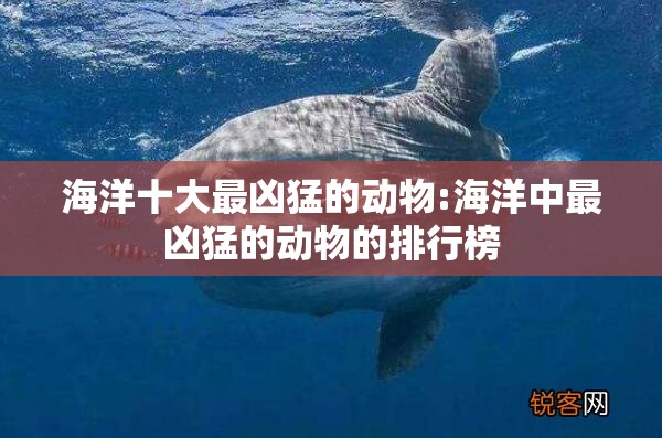海洋十大最凶猛的动物:海洋中最凶猛的动物的排行榜