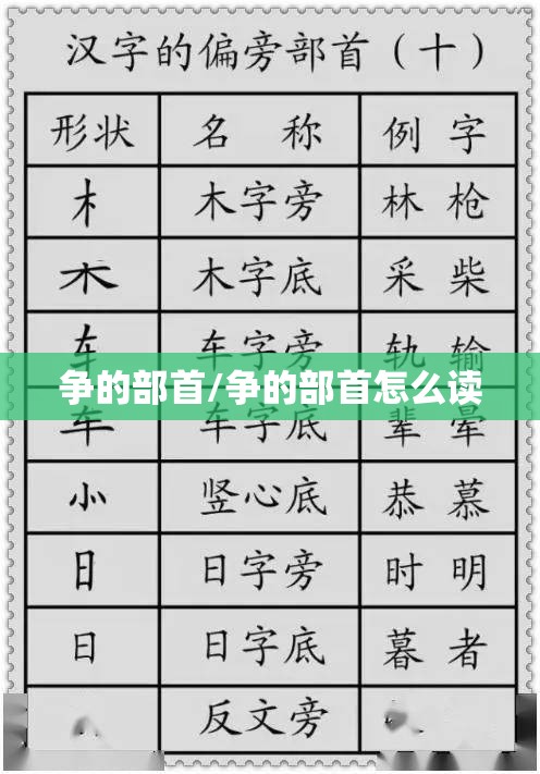 争的部首/争的部首怎么读