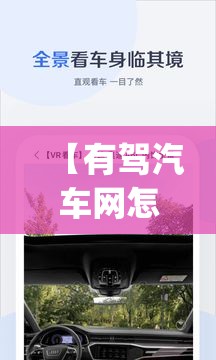 【有驾汽车网怎么样/有驾app】