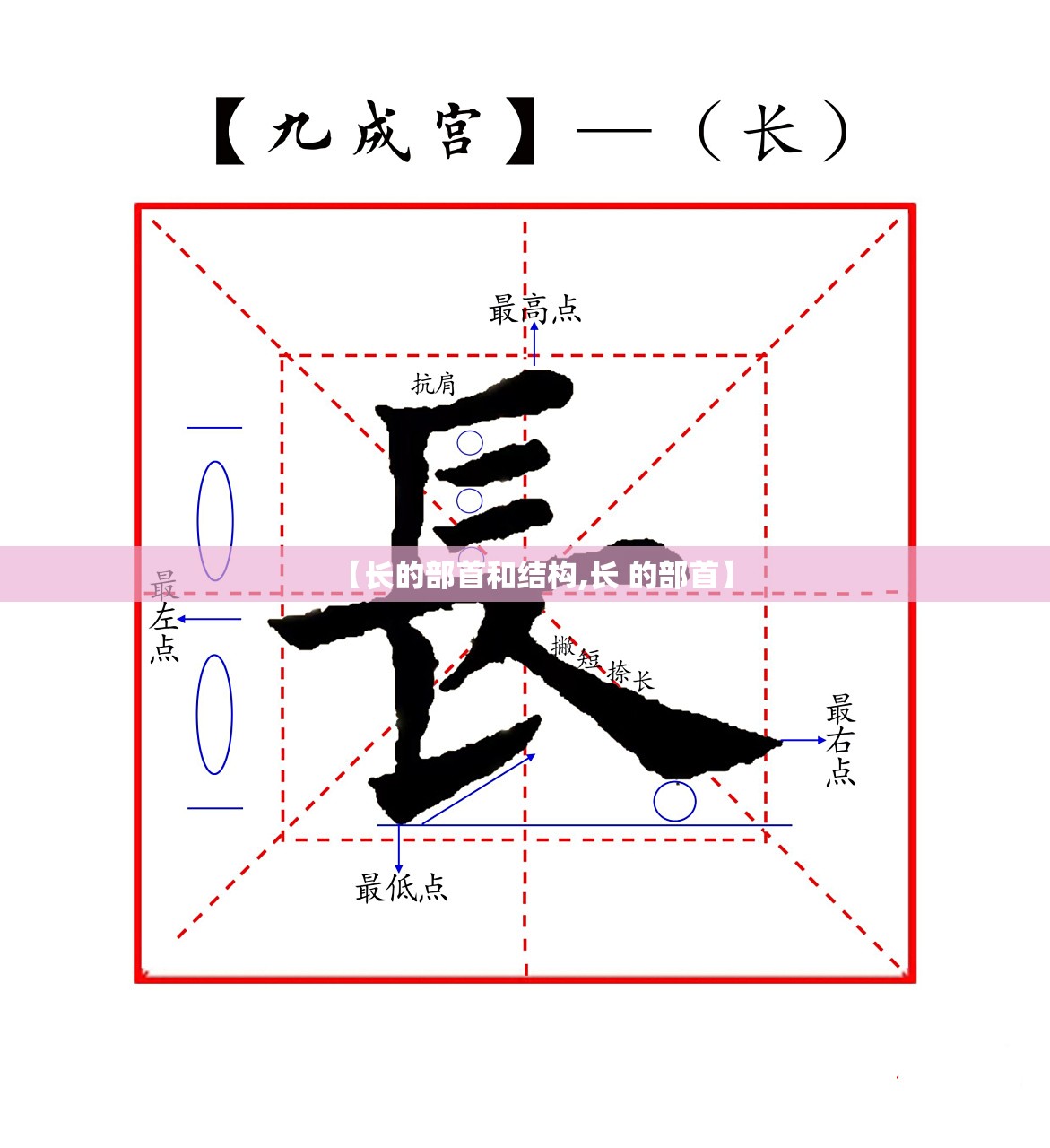 【长的部首和结构,长 的部首】