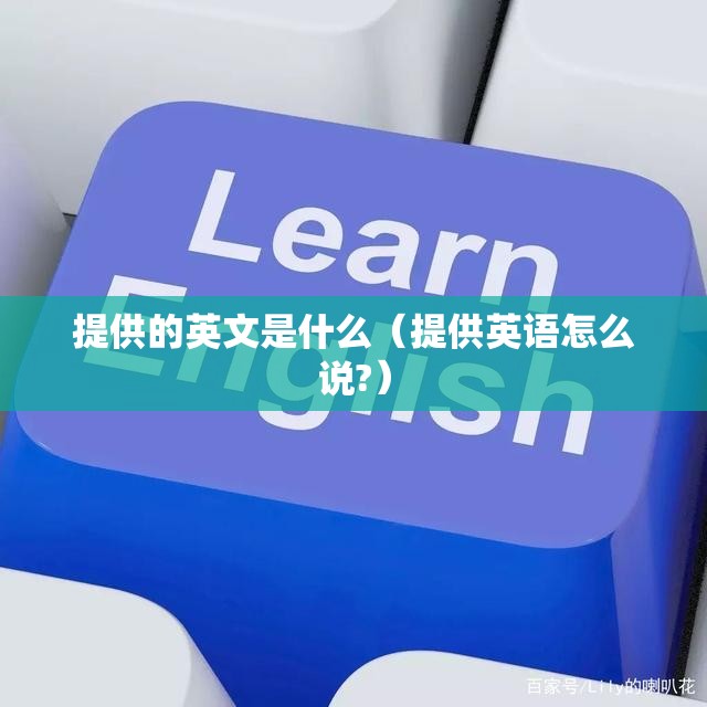 提供的英文是什么（提供英语怎么说?）