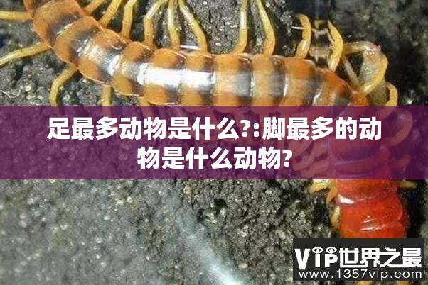 足最多动物是什么?:脚最多的动物是什么动物?