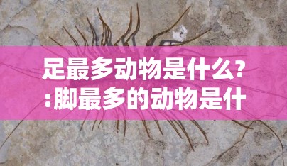 足最多动物是什么?:脚最多的动物是什么动物?