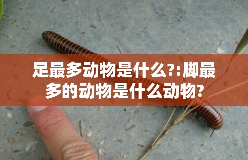 足最多动物是什么?:脚最多的动物是什么动物?
