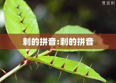 剌的拼音:刺的拼音