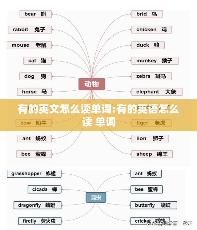 有的英文怎么读单词:有的英语怎么读 单词