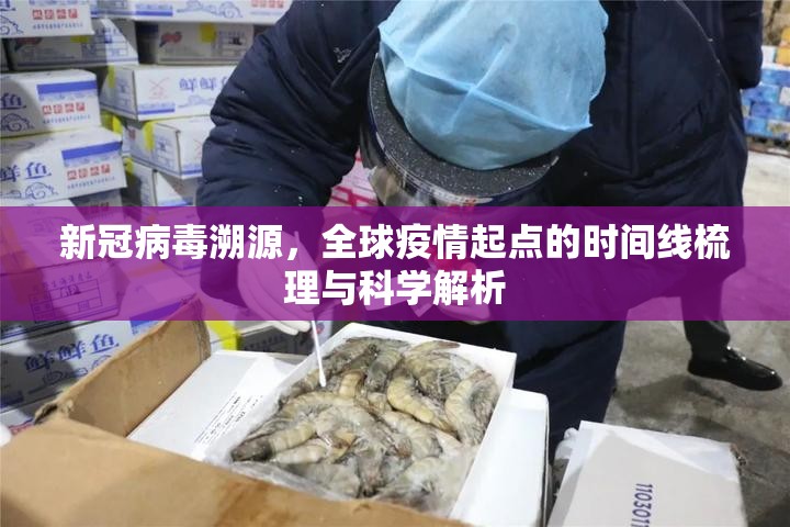 新冠病毒溯源，全球疫情起点的时间线梳理与科学解析