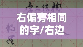右偏旁相同的字/右边结构相同的字