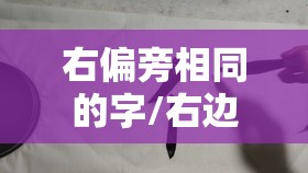 右偏旁相同的字/右边结构相同的字