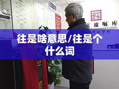 往是啥意思/往是个什么词