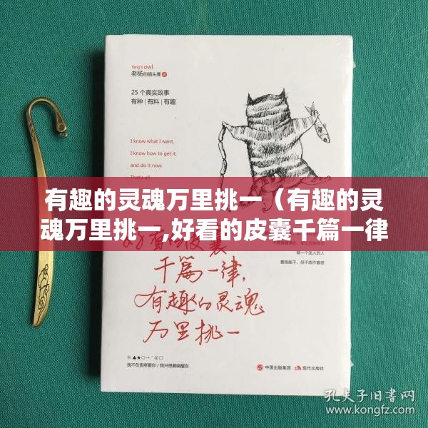 有趣的灵魂万里挑一（有趣的灵魂万里挑一,好看的皮囊千篇一律古文翻译）
