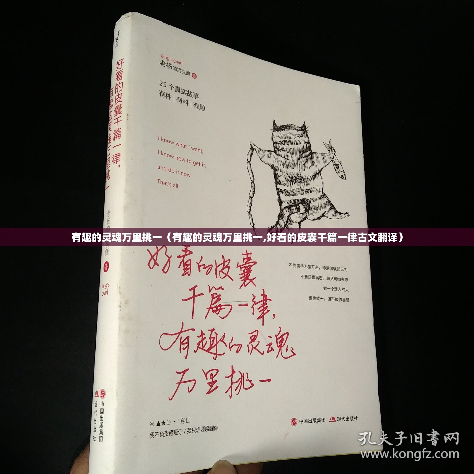 有趣的灵魂万里挑一（有趣的灵魂万里挑一,好看的皮囊千篇一律古文翻译）