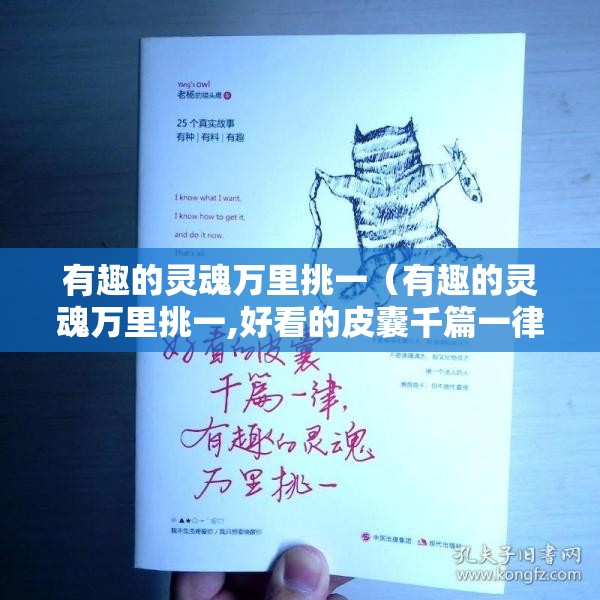 有趣的灵魂万里挑一（有趣的灵魂万里挑一,好看的皮囊千篇一律古文翻译）