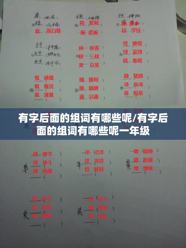 有字后面的组词有哪些呢/有字后面的组词有哪些呢一年级