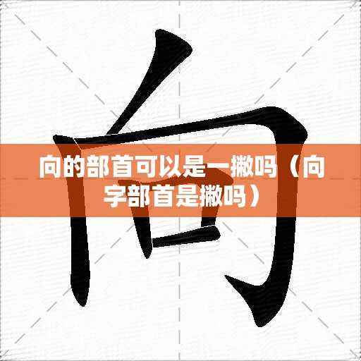 向的部首可以是一撇吗（向字部首是撇吗）