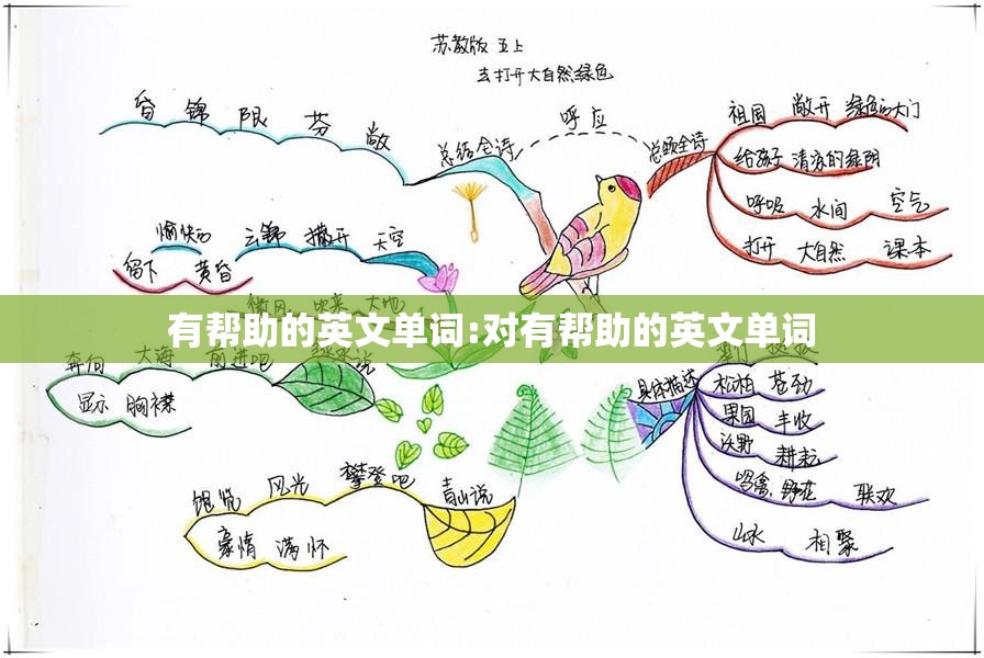 有帮助的英文单词:对有帮助的英文单词