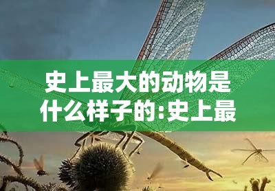 史上最大的动物是什么样子的:史上最大的动物图片