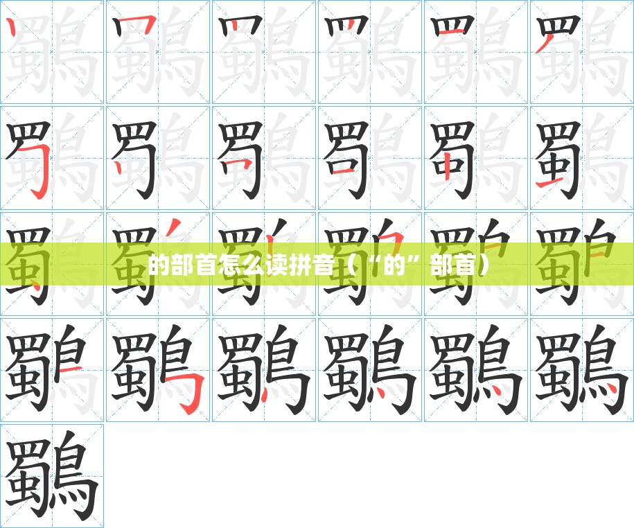 的部首怎么读拼音（“的”部首）