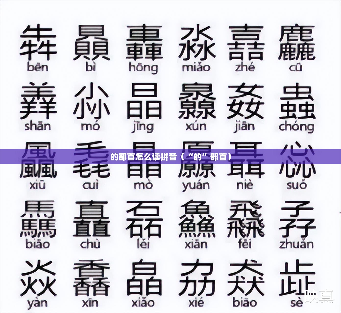 的部首怎么读拼音（“的”部首）