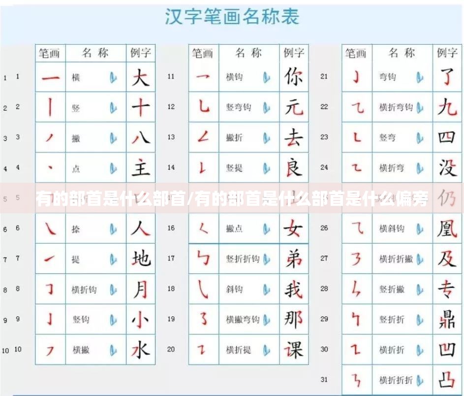 有的部首是什么部首/有的部首是什么部首是什么偏旁