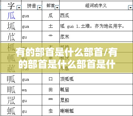 有的部首是什么部首/有的部首是什么部首是什么偏旁