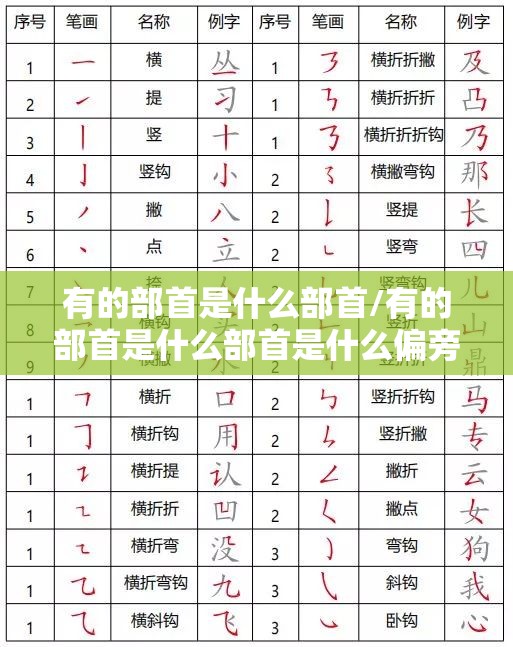 有的部首是什么部首/有的部首是什么部首是什么偏旁