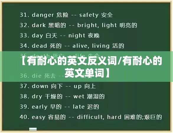 【有耐心的英文反义词/有耐心的英文单词】