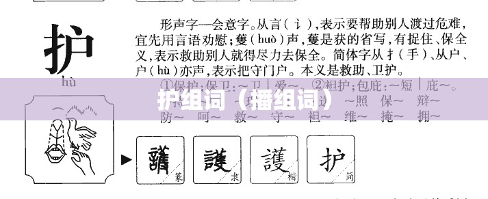 护组词（播组词）