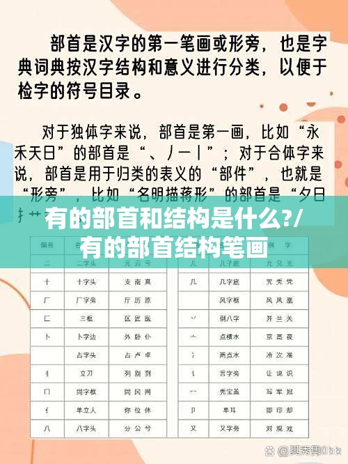 有的部首和结构是什么?/有的部首结构笔画