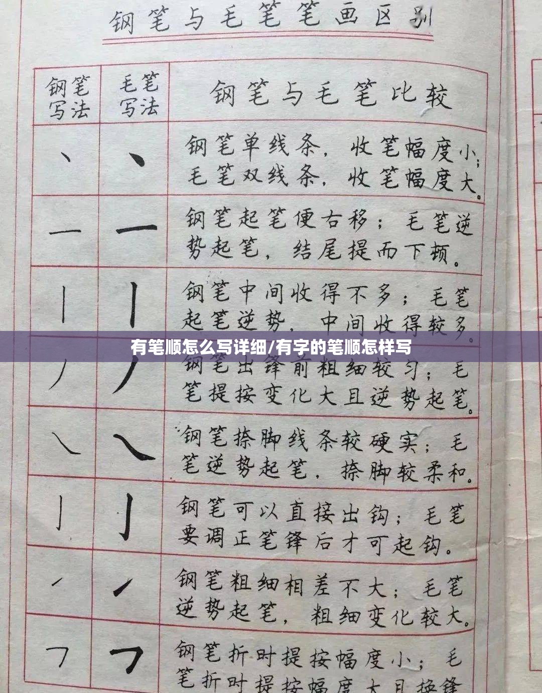 有笔顺怎么写详细/有字的笔顺怎样写