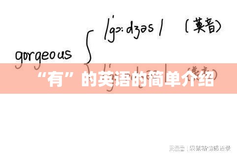 “有”的英语的简单介绍
