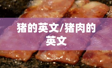 猪的英文/猪肉的英文