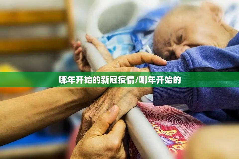 哪年开始的新冠疫情/哪年开始的