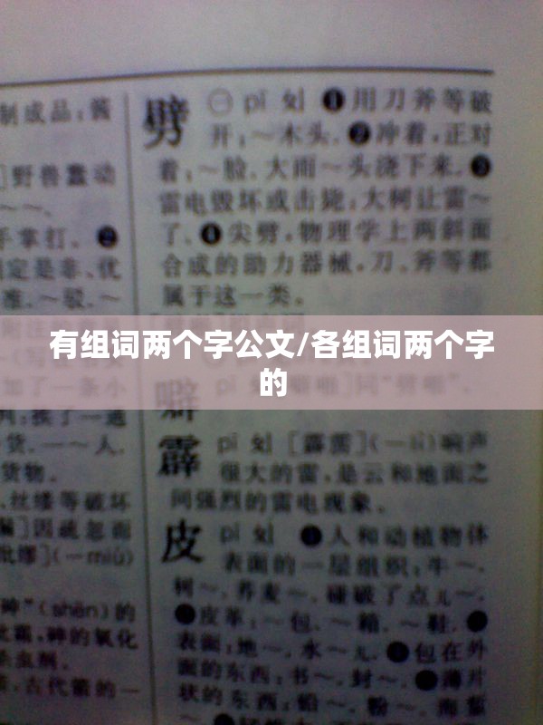 有组词两个字公文/各组词两个字的