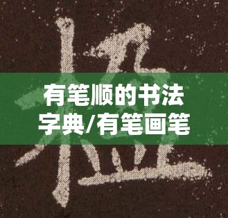 有笔顺的书法字典/有笔画笔顺的字典