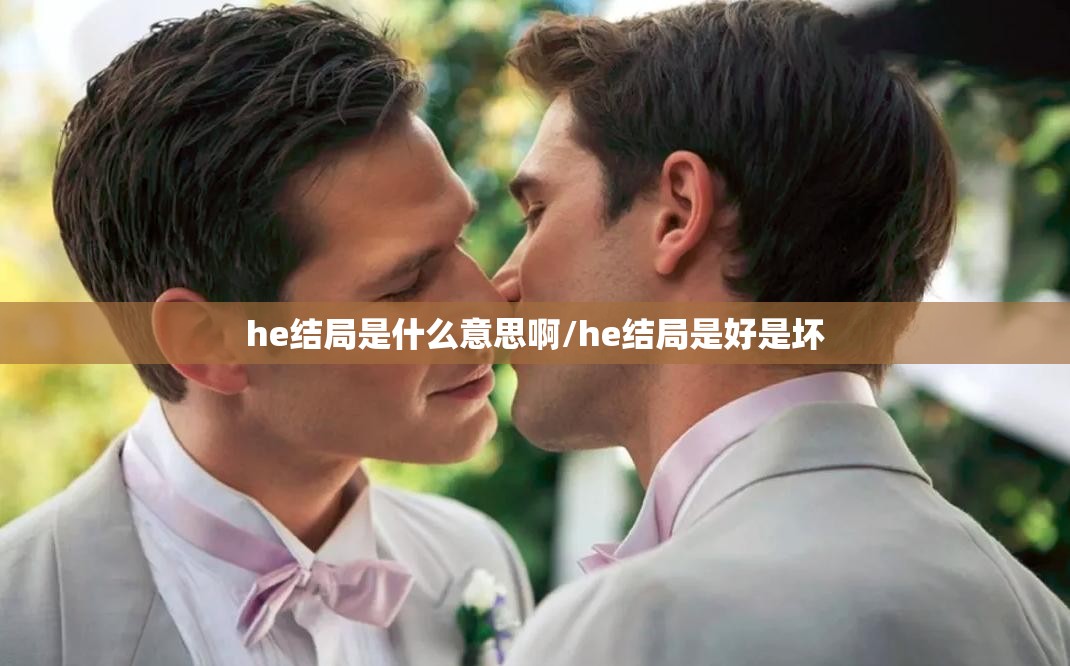 he结局是什么意思啊/he结局是好是坏