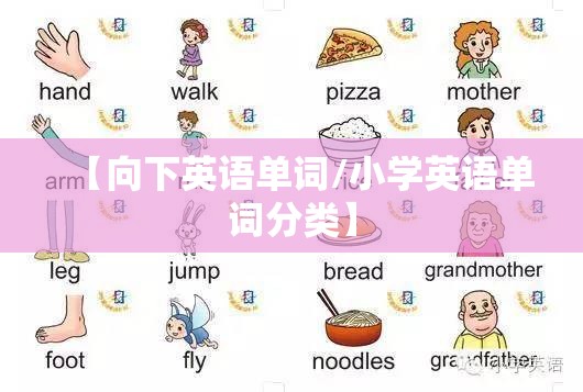 【向下英语单词/小学英语单词分类】