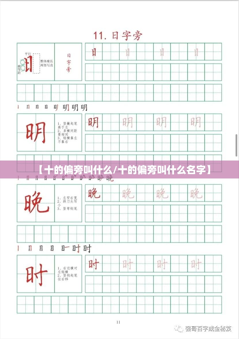 【十的偏旁叫什么/十的偏旁叫什么名字】
