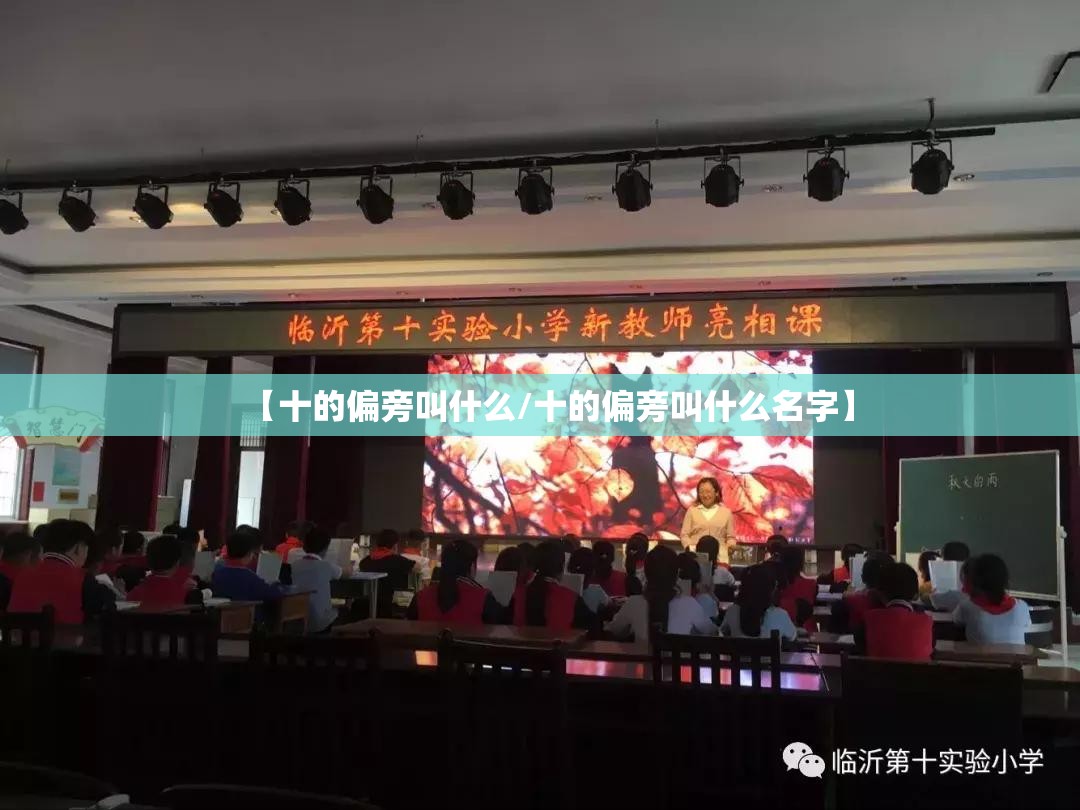 【十的偏旁叫什么/十的偏旁叫什么名字】